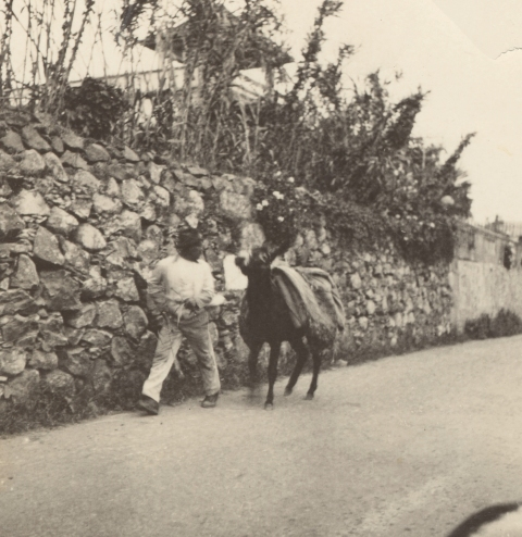 CARRETERA DE SANTA BRÍGIDA