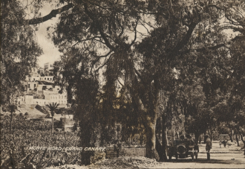 CARRETERA DEL MONTE. RISCO DE SAN NICOLÁS