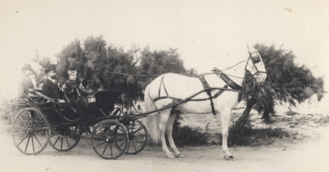 CARRUAJE DE CABALLOS EN LA CARRETERA DEL PUERTO