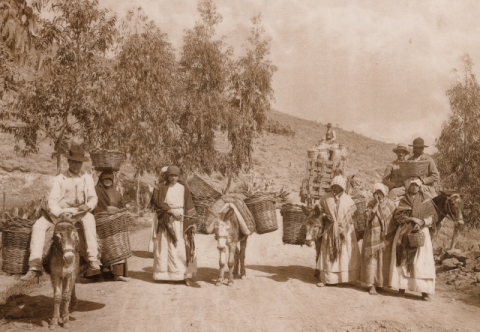CESTERAS VAN AL MERCADO
