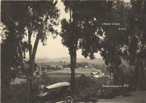 EL MADROÑAL