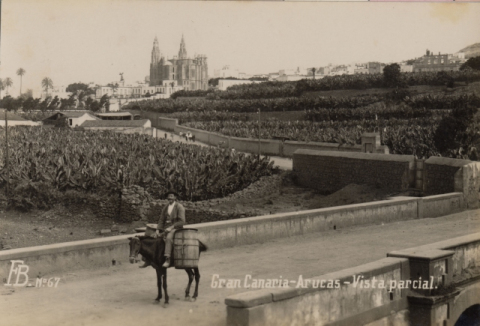 EL MARCHANTE