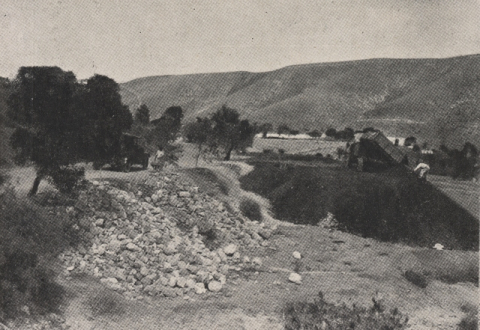 HACIENDO LA CARRETERA