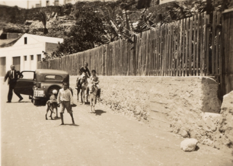 LA NOVEDAD DEL COCHE