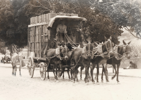 LOS TRANSPORTES EN LA CALLE NUEVA ("BRAVO MURILLO")