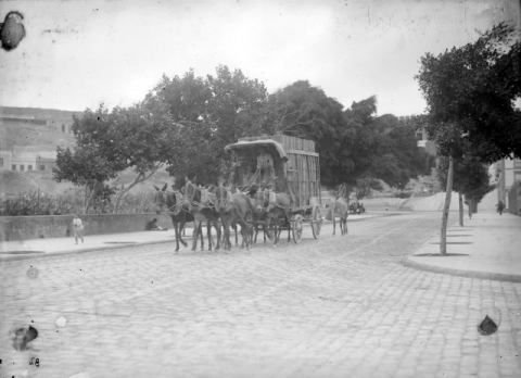 EL CARROMATO DE HUACALES