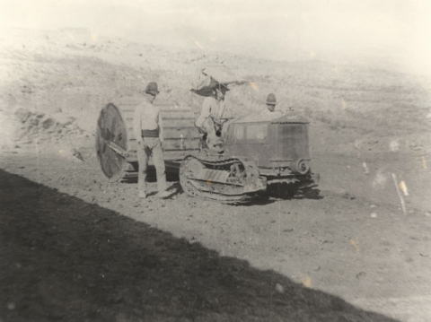 LA APISONADORA