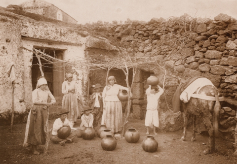 FAMILIA DE LA ATALAYA