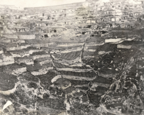 LA ATALAYA