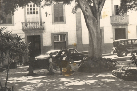 ALAMEDA DE COLÓN