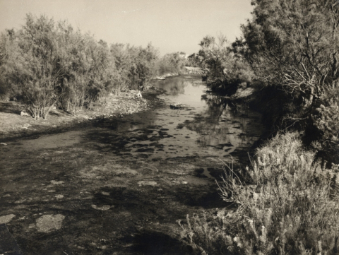 EL BARRANCO