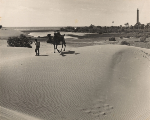 EL CAMELLERO DE LAS DUNAS