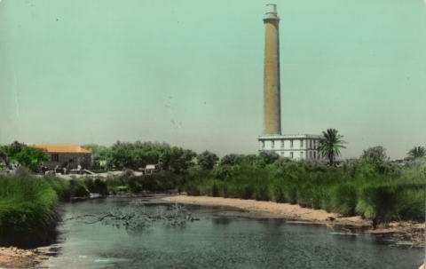 EL FARO Y LA CHARCA