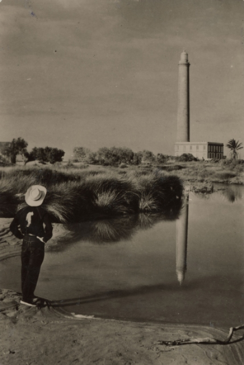 LA CHARCA Y EL FARO