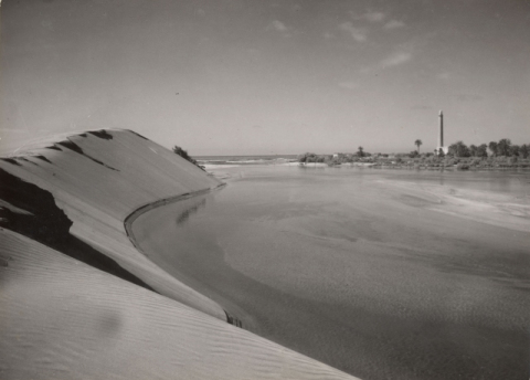 LA CHARCA Y LAS DUNAS