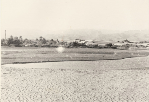 LA CHARCA Y LAS DUNAS
