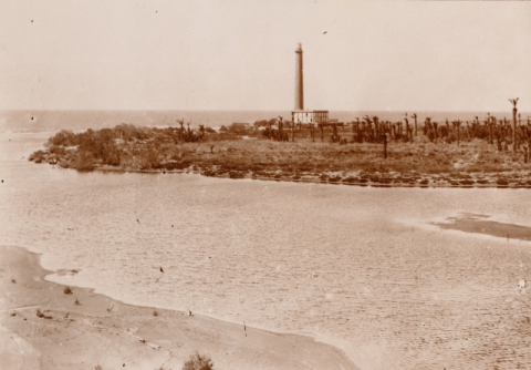 LA CHARCA, EL FARO Y EL PALMERAL