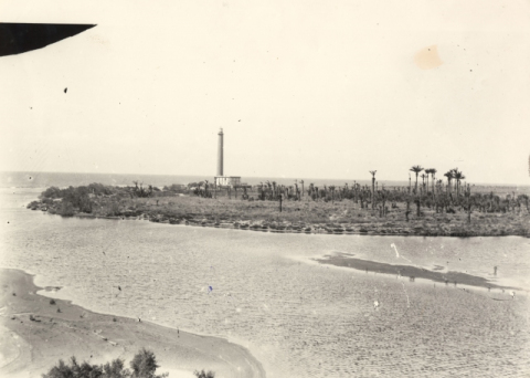 LA CHARCA, EL FARO Y EL PALMERAL