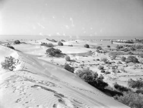 LAS DUNAS Y LA CHARCA
