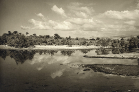 OASIS DE MASPALOMAS