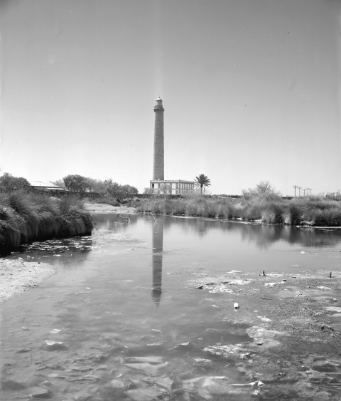 REFLEJOS