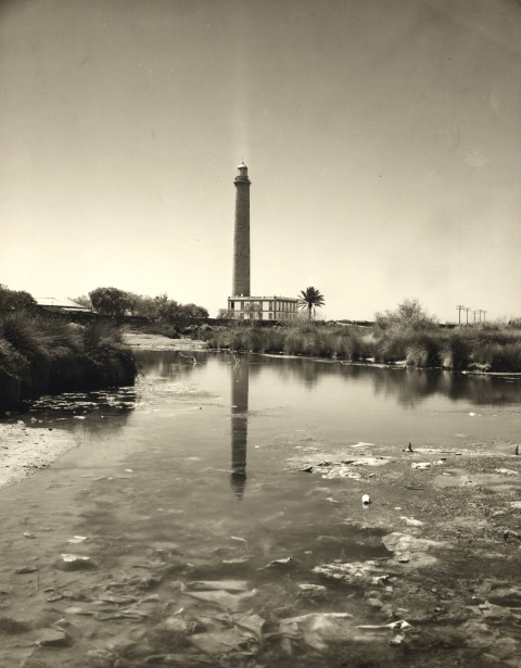 REFLEJOS