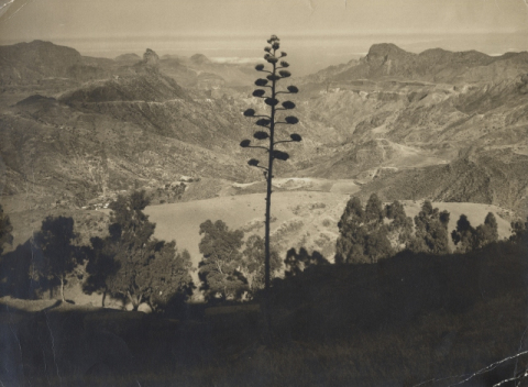 CUENCA DE TEJEDA