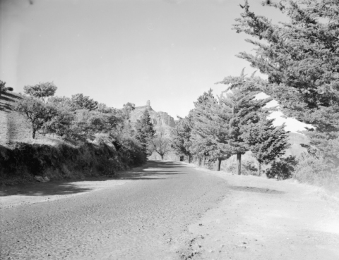 LA CARRETERA