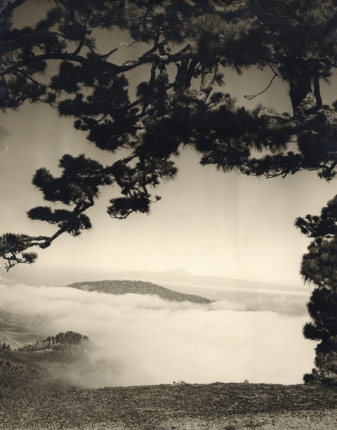 MAR DE NUBES