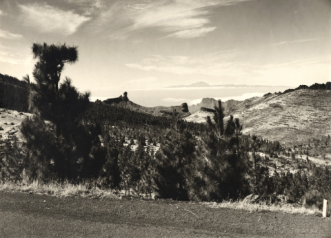 NUBLO Y TEIDE
