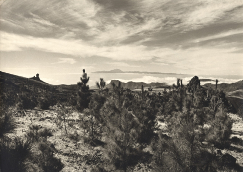 NUBLO, TEIDE. UN MISMO CIELO