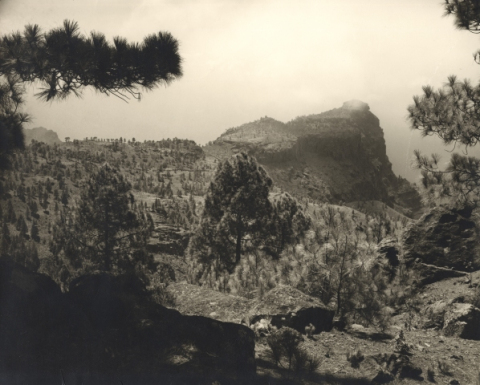 RISCO FANEQUE. TAMADABA