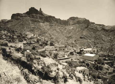 TEJEDA