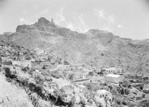 TEJEDA