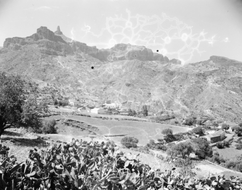 TEJEDA