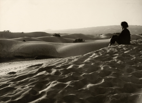 ATARDECER EN LAS DUNAS