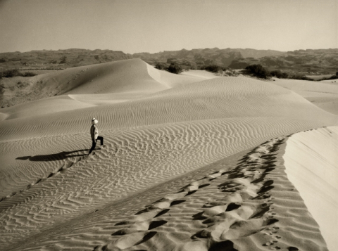 DESIERTO EN MINIATURA