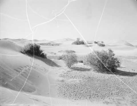 DUNAS
