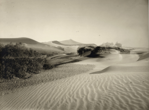 DUNAS