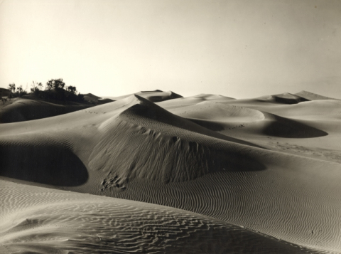 DUNAS