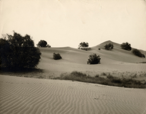 LAS DUNAS