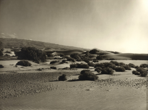 LLANO DE LAS DUNAS