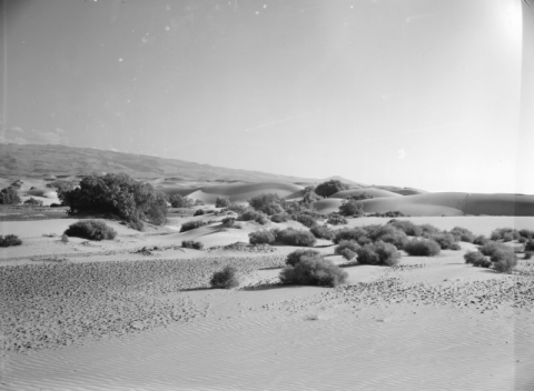 LLANO DE LAS DUNAS