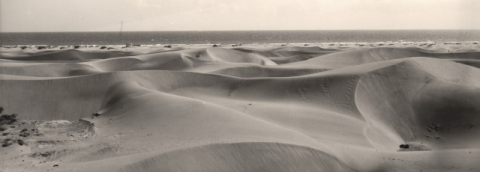 MAR DE DUNAS