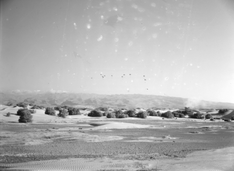 PARACAIDISTAS SOBRE LAS DUNAS