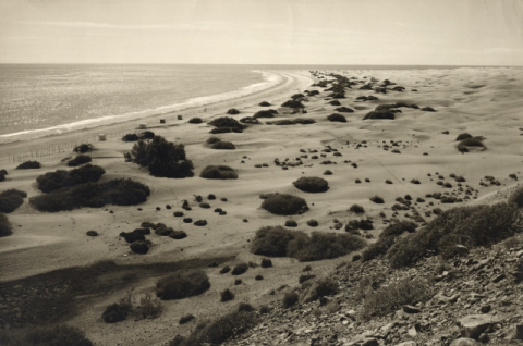 PLAYA DEL INGLÉS Y DUNAS DE MASPALOMAS