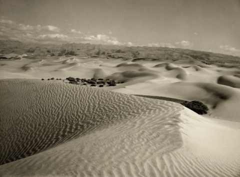 SISTEMA DUNAR DE MASPALOMAS