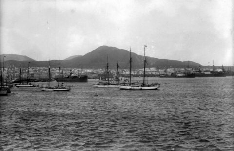 BAHÍA DE LA LUZ