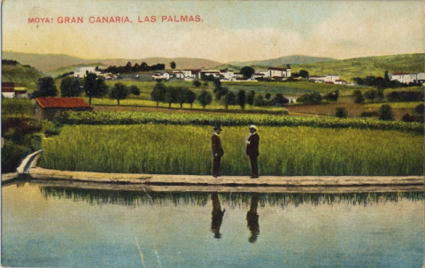 EL ESTANQUE