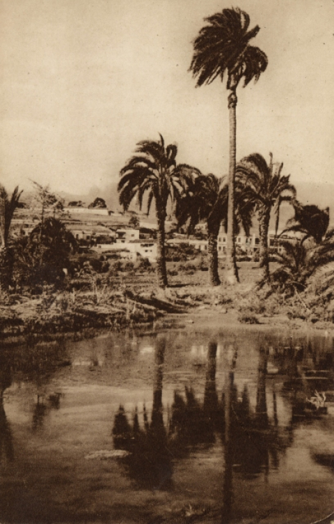 PRESA  EN EL PALMERAL